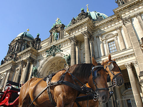 Foto Pferdekutsche vor dem Berliner Dom