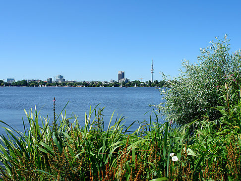 Foto Schöne Aussicht