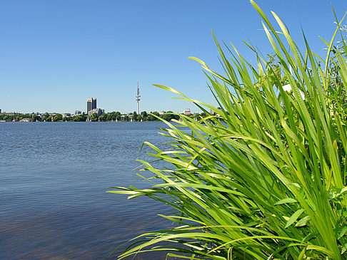 Foto Schöne Aussicht