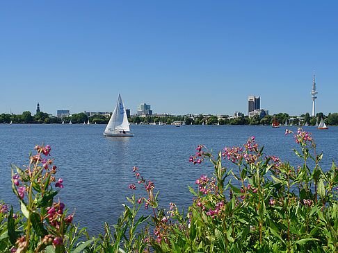 Fotos Segeln auf der Außenalster | Hamburg