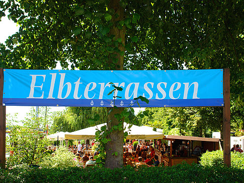 Elbterrassen Fotos