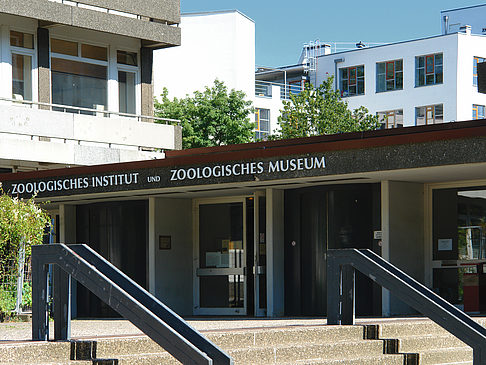 Zoologisches Museum Foto 