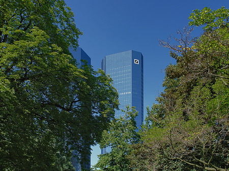 Foto Deutsche Bank mit Bäumen