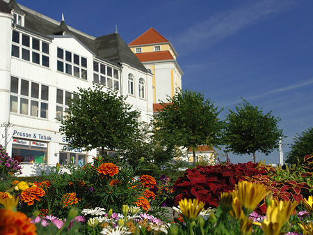 Fotos Seebrücke Binz | Ostseebad Binz