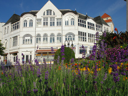 Fotos Seebrücke Binz | Ostseebad Binz