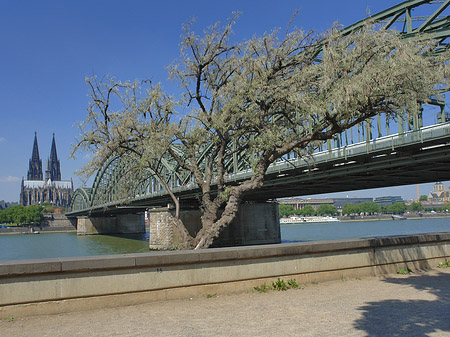 Hohenzollernbrücke am Kölner Dom Foto 