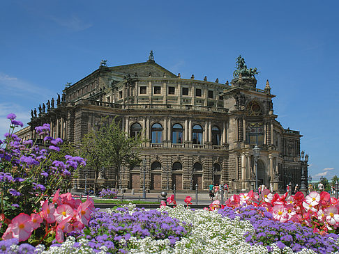 Semperoper mit Blumen Fotos