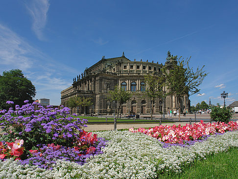 Semperoper mit Blumen Fotos